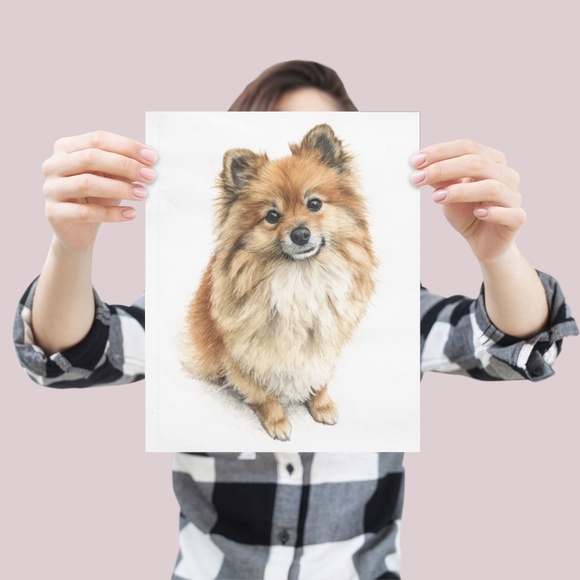 Watercolor Pomeranian Dog Portrait Art Print – Unframed Fine Art Poster - Picture 4 of 5